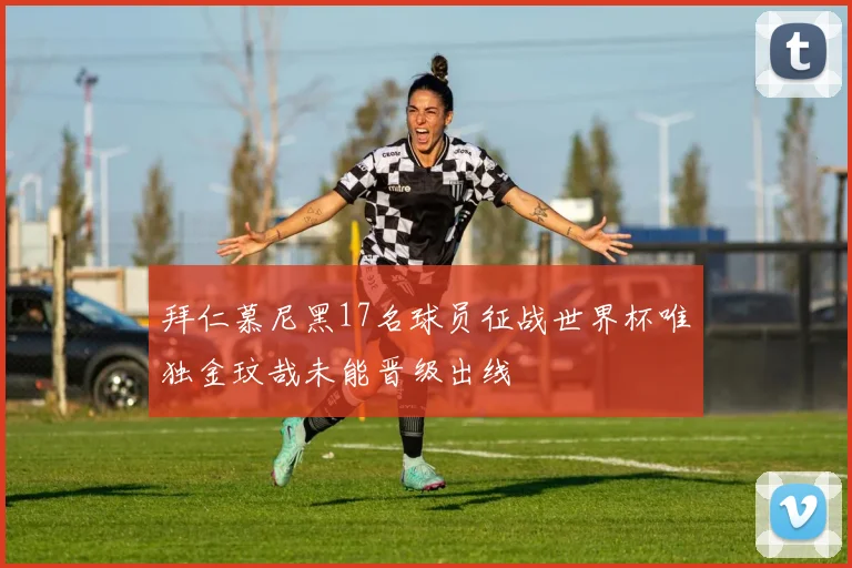 拜仁慕尼黑17名球员征战世界杯唯独金玟哉未能晋级出线